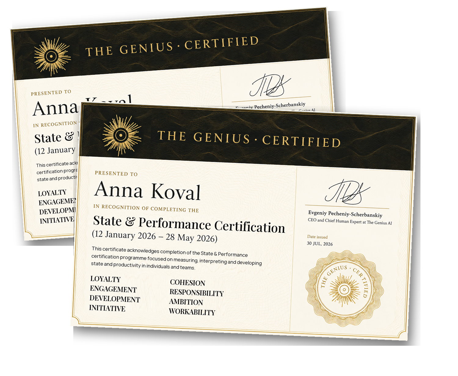 The Genius certificate confirming expertise in the State & Performance model