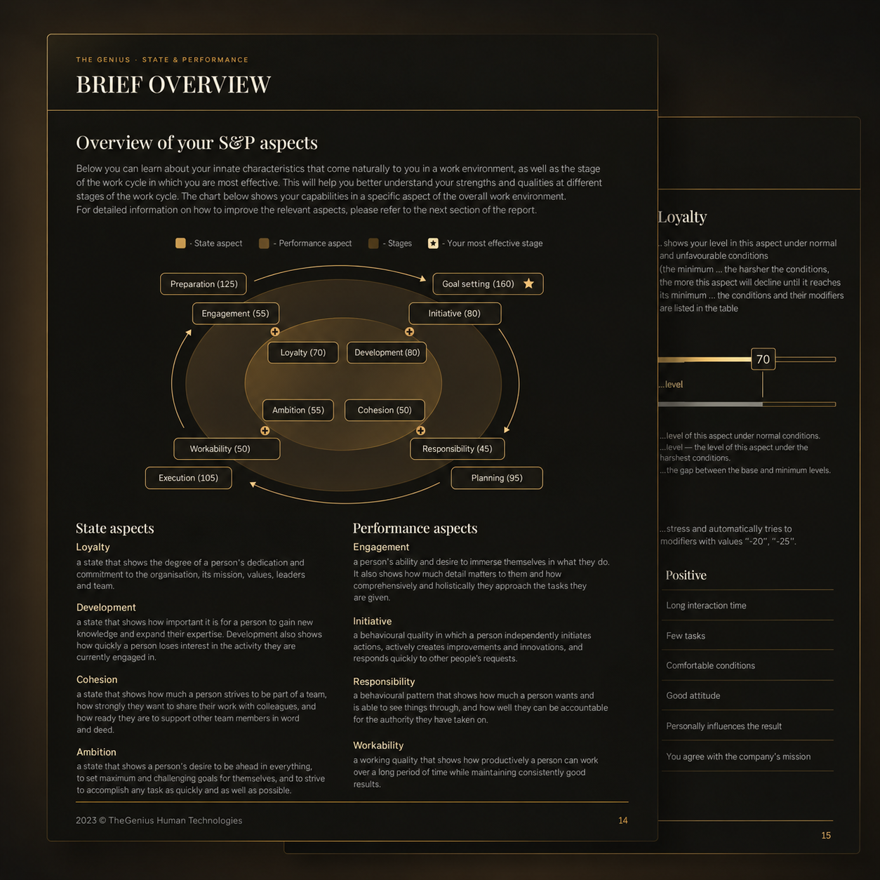 A spread from the State & Performance report: the map of S&P aspects